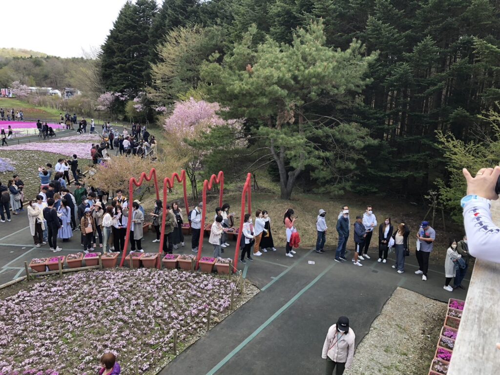 富士芝桜まつり　2023 　混雑