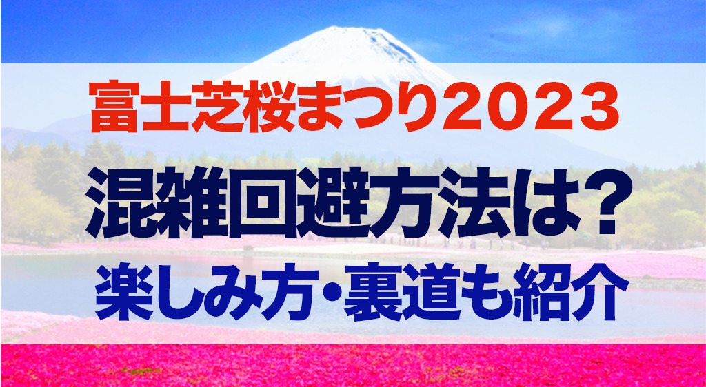 富士芝桜　2023